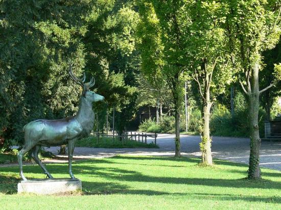 Platzspitz park